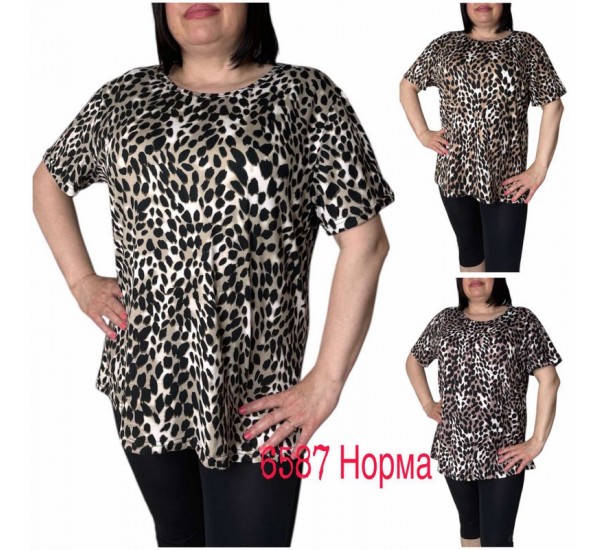 Футболка жіноча трикотаж 6 шт (L-4XL) SeR2152_6587