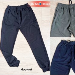 Спорт штани чоловічі, пенье 5 шт (46-54 р) SeR2152_100810