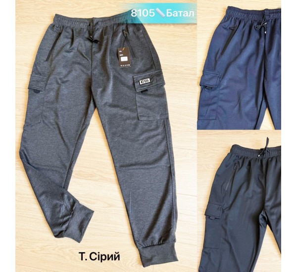 Спорт штани чоловічі, двонитка 5 шт (52-60 р) SeR2152_8105