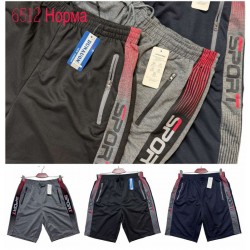 Шорти чоловічі, двунитка 6 шт (46-56 р) SeR2152_6512