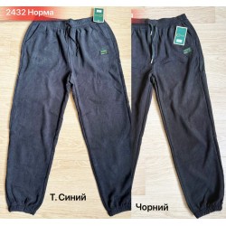Спорт штани чоловічі, мікровельвет 5 шт (48-56 р) SeR2152_2432