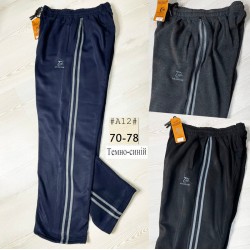 Спорт штани чоловічі, фліс 5 шт (58-66 р) SeR2152_A12