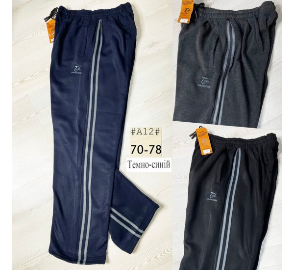 Спорт штани чоловічі, фліс 5 шт (58-66 р) SeR2152_A12