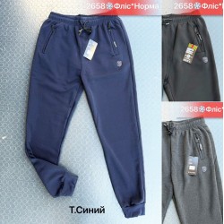 Спорт штани чоловічі, фліс 5 шт (46-54 р) SeR2152_2658