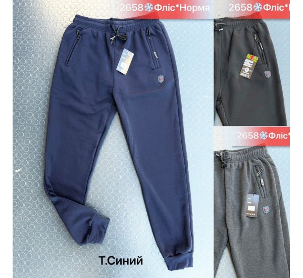 Спорт штани чоловічі, фліс 5 шт (46-54 р) SeR2152_2658