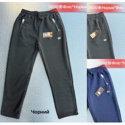 Спорт штани чоловічі, фліс 5 шт (46-54 р) SeR2152_2600