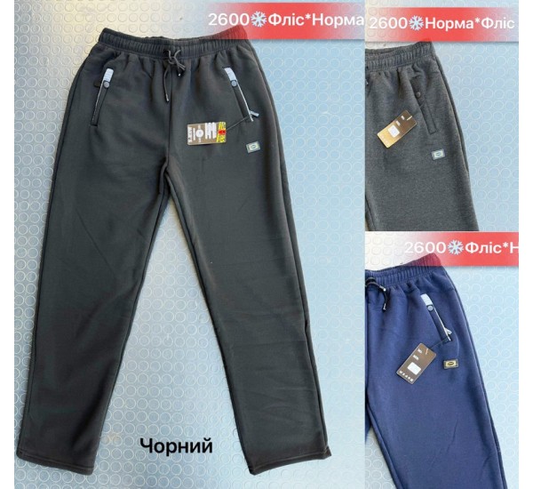 Спорт штани чоловічі, фліс 5 шт (46-54 р) SeR2152_2600