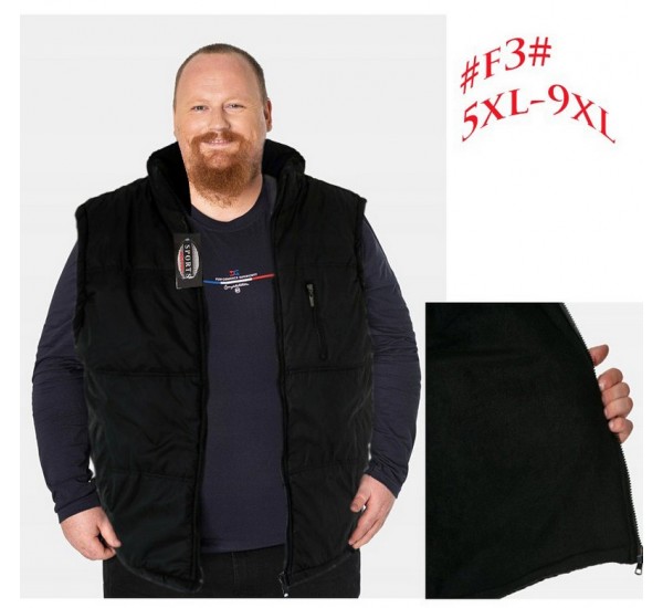 Безрукавка чоловіча, фліс 5 шт (58-66 р) SeR2152_F3