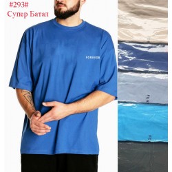 Футболка мужская, коттон 5 шт (60-68 р) SeR2152_293