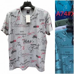 Футболка чоловіча, бавовна 5 шт (48-56 р) SeR2152_A74