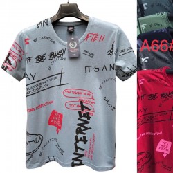 Футболка чоловіча, бавовна 5 шт (48-56 р) SeR2152_A66