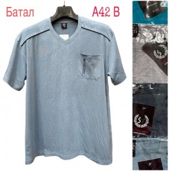 Футболка чоловіча, бавовна 5 шт (58-66 р) SeR2152_A42B