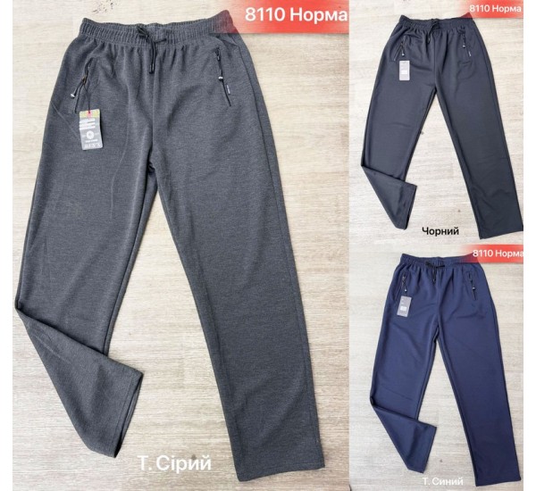 Спорт штани чоловічі, двунитка 5 шт (46-54 р) SeR2152_8110