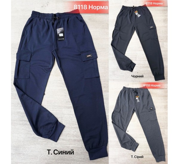 Спорт штани чоловічі, двунитка 5 шт (46-54 р) SeR2152_8118