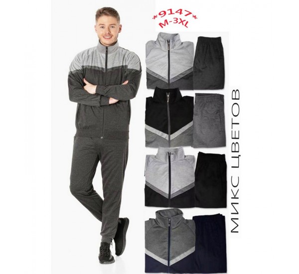 Спорт костюм чоловічий, двунитка 6 шт (48-56 р) SeR2152_9147