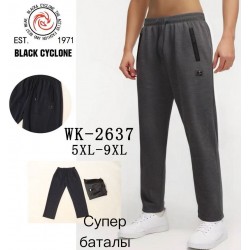 Спорт штани чоловічі 5 шт (5-9XL) трикотаж DLD_2637
