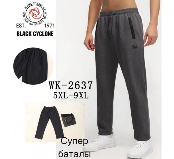 Спорт штани чоловічі 5 шт (5-9XL) трикотаж DLD_2637
