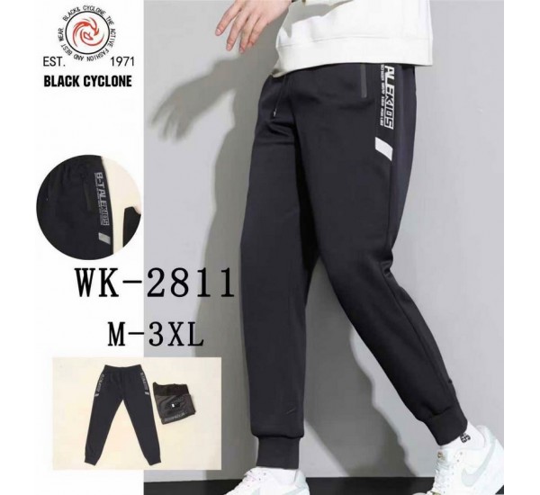 Спорт штани чоловічі 5 шт (M-3XL) трикотаж DLD_2811