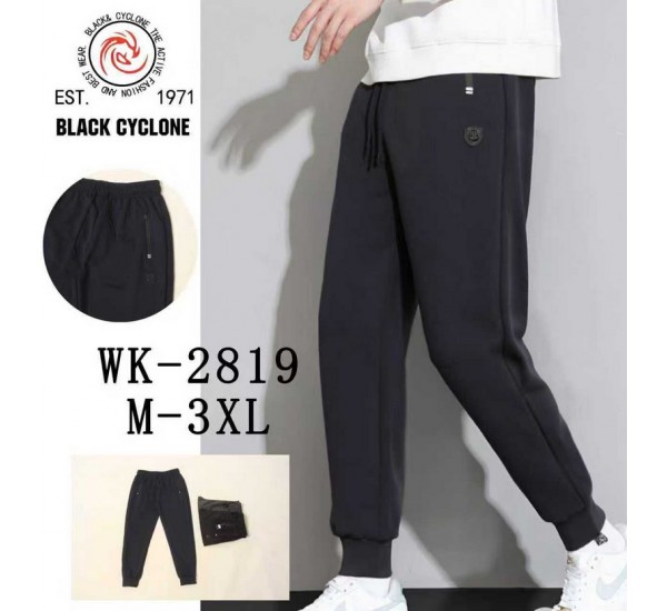 Спорт штани чоловічі 5 шт (M-3XL) трикотаж DLD_2819