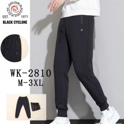 Спорт штани чоловічі 5 шт (M-3XL) трикотаж DLD_2810