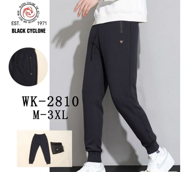Спорт штани чоловічі 5 шт (M-3XL) трикотаж DLD_2810