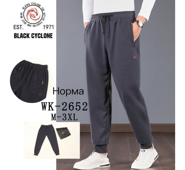 Спорт штани чоловічі 5 шт (M-3XL) трикотаж DLD_2652