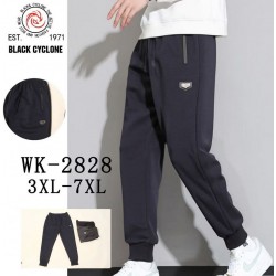 Спорт штани чоловічі 5 шт (3-7XL) трикотаж DLD_2828