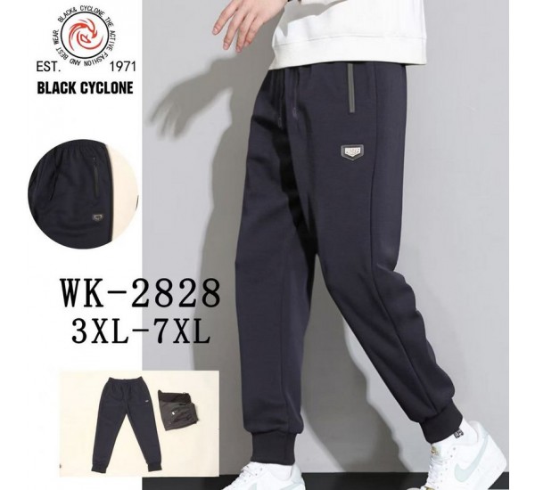 Спорт штани чоловічі 5 шт (3-7XL) трикотаж DLD_2828