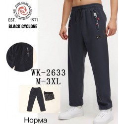 Спорт штани чоловічі 5 шт (M-3XL) трикотаж DLD_2633