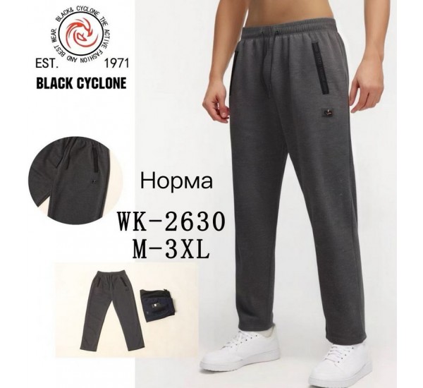 Спорт штани чоловічі 5 шт (M-3XL) трикотаж DLD_2630