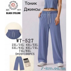 Штани жіночі, джинс 5 шт (2-8XL) DLD_WT-527