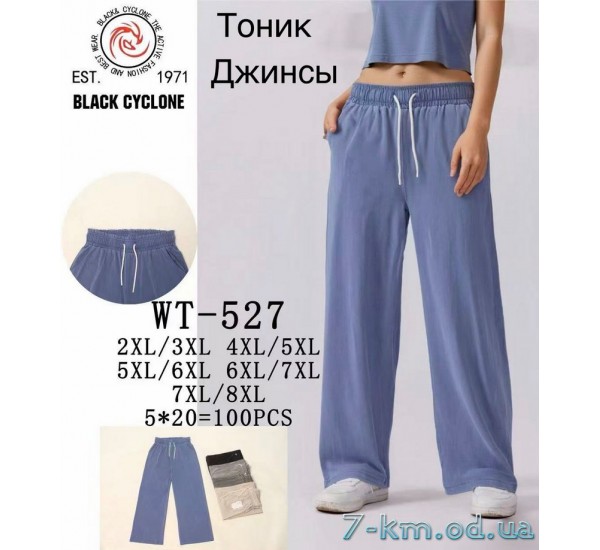 Штани жіночі, джинс 5 шт (2-8XL) DLD_WT-527