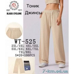 Штани жіночі, джинс 5 шт (2-8XL) DLD_WT-525