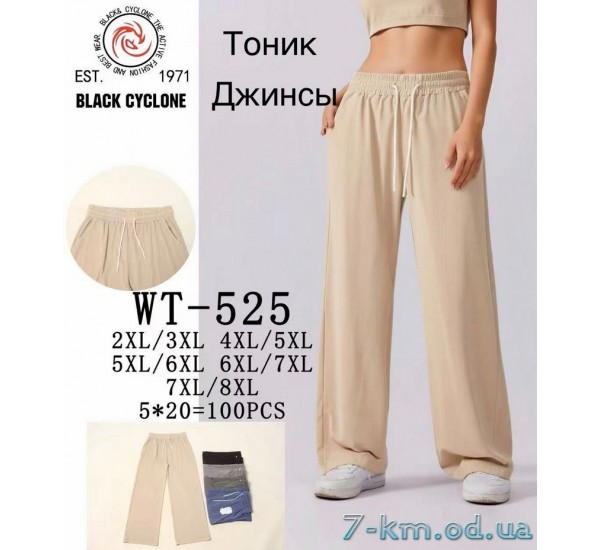 Штани жіночі, джинс 5 шт (2-8XL) DLD_WT-525