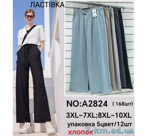 Штани жіночі, жатка 6 шт (3-10XL) DLD_A2824