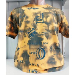 Футболка чоловіча (S-2XL) трикотаж 5 шт HR1890_060510