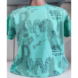 Футболка чоловіча (S-2XL) трикотаж 5 шт HR1890_060518