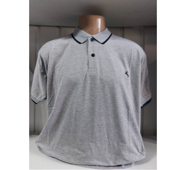 Футболка чоловіча (4-8XL) трикотаж 5 шт HR1890_260310