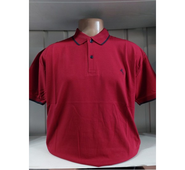 Футболка чоловіча (4-8XL) трикотаж 5 шт HR1890_260311