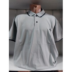 Футболка чоловіча (4-8XL) трикотаж 5 шт HR1890_260312