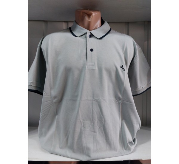 Футболка чоловіча (4-8XL) трикотаж 5 шт HR1890_260312