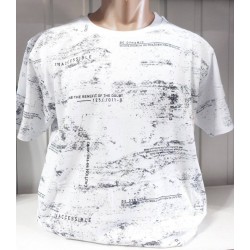 Футболка чоловіча (2-6XL) трикотаж 5 шт HR1890_260322