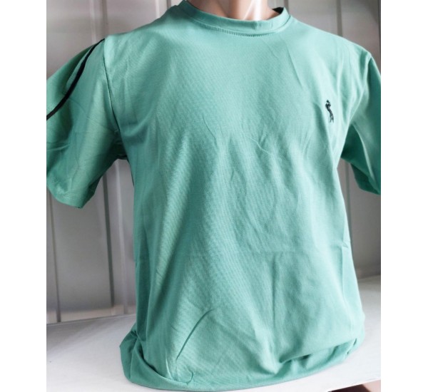 Футболка чоловіча (M-3XL) трикотаж 5 шт HR1890_260330