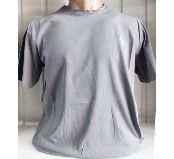 Футболка чоловіча (M-3XL) трикотаж 5 шт HR1890_260331