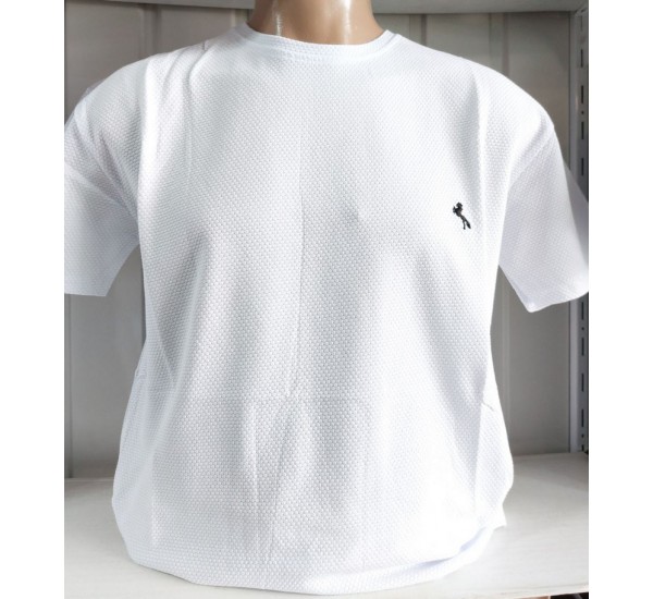 Футболка чоловіча (4-8XL) вафельний трикотаж 5 шт HR1890_260343