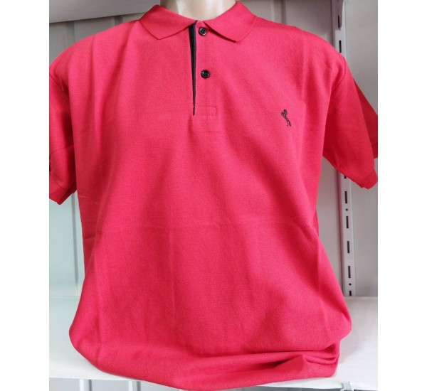 Футболка чоловіча (M-3XL) лакоста 5 шт HR1890_260345