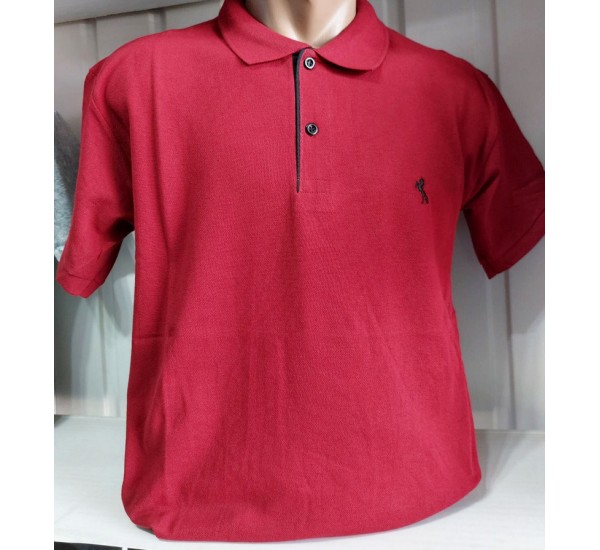 Футболка чоловіча (M-3XL) лакоста 5 шт HR1890_260346