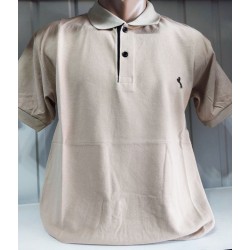 Футболка чоловіча (M-3XL) лакоста 5 шт HR1890_260347