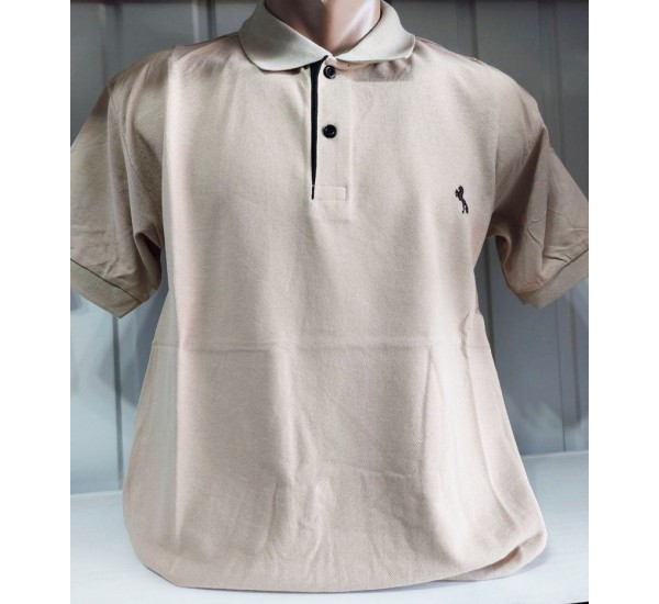 Футболка чоловіча (M-3XL) лакоста 5 шт HR1890_260347