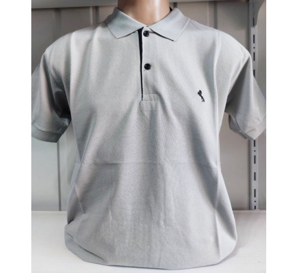 Футболка чоловіча (M-3XL) лакоста 5 шт HR1890_260349